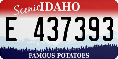 ID license plate E437393