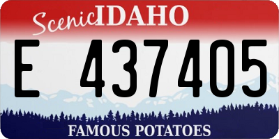 ID license plate E437405