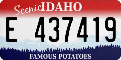 ID license plate E437419