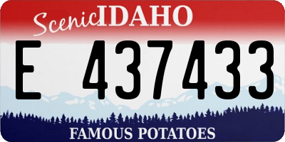 ID license plate E437433