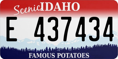 ID license plate E437434