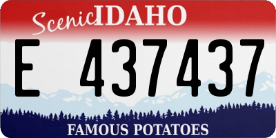 ID license plate E437437