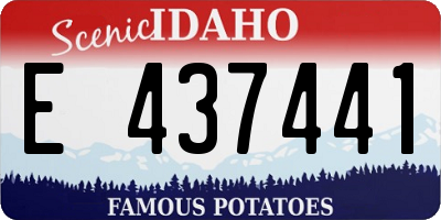 ID license plate E437441