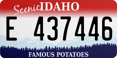 ID license plate E437446