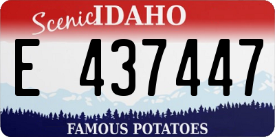 ID license plate E437447