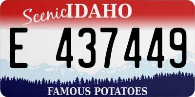 ID license plate E437449
