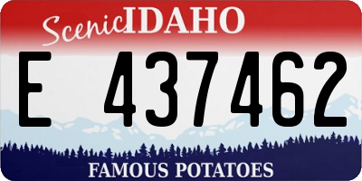 ID license plate E437462