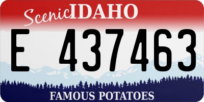 ID license plate E437463