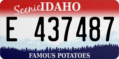 ID license plate E437487