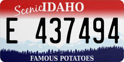 ID license plate E437494