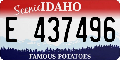 ID license plate E437496