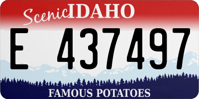 ID license plate E437497