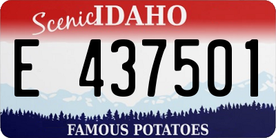 ID license plate E437501