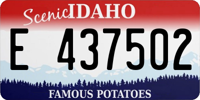ID license plate E437502