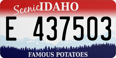 ID license plate E437503
