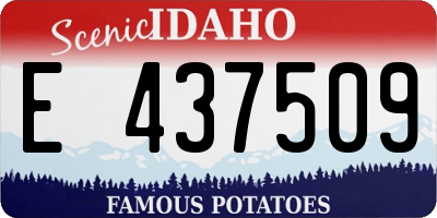 ID license plate E437509