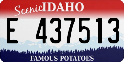 ID license plate E437513