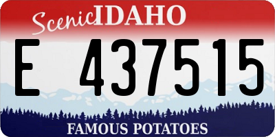 ID license plate E437515