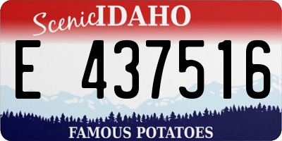ID license plate E437516