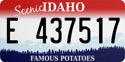 ID license plate E437517