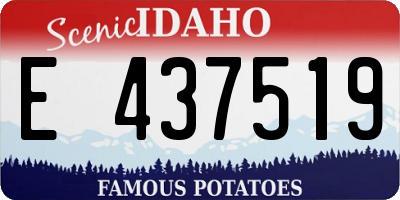 ID license plate E437519