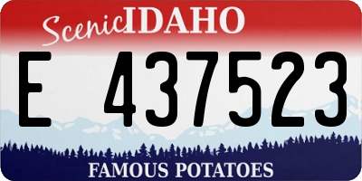 ID license plate E437523