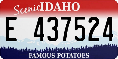 ID license plate E437524
