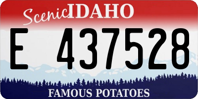 ID license plate E437528