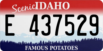 ID license plate E437529