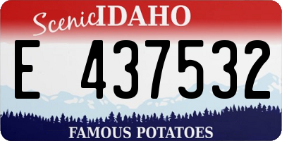 ID license plate E437532
