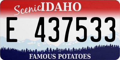 ID license plate E437533