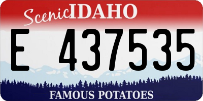 ID license plate E437535