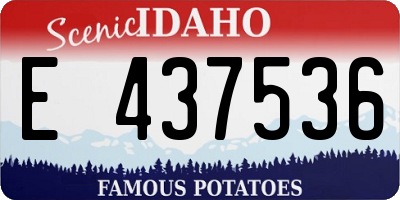ID license plate E437536