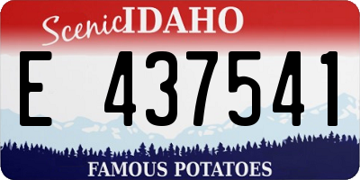 ID license plate E437541
