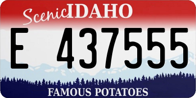 ID license plate E437555