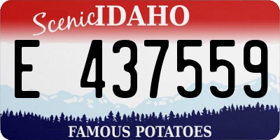 ID license plate E437559