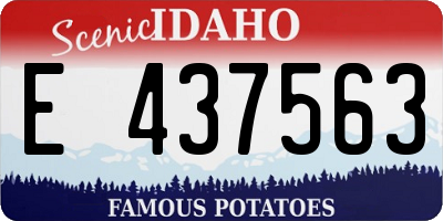 ID license plate E437563