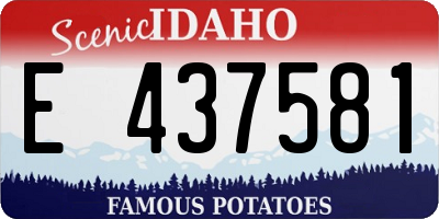 ID license plate E437581