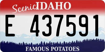 ID license plate E437591