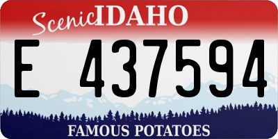 ID license plate E437594