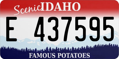 ID license plate E437595