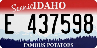 ID license plate E437598