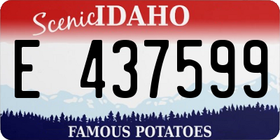 ID license plate E437599