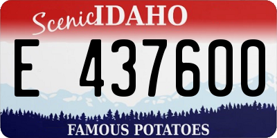 ID license plate E437600