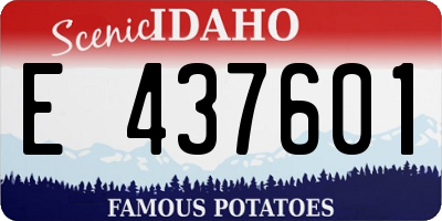ID license plate E437601