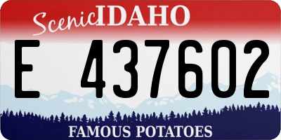 ID license plate E437602