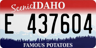 ID license plate E437604