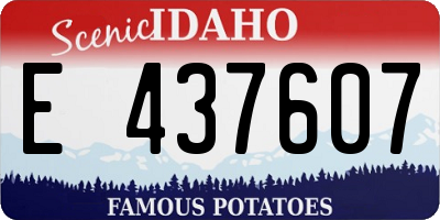 ID license plate E437607