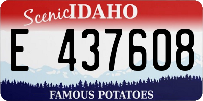 ID license plate E437608