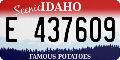 ID license plate E437609